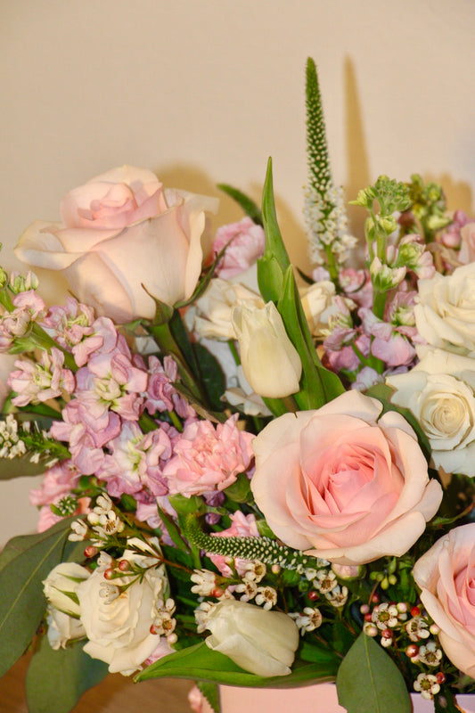 Love in Bloom